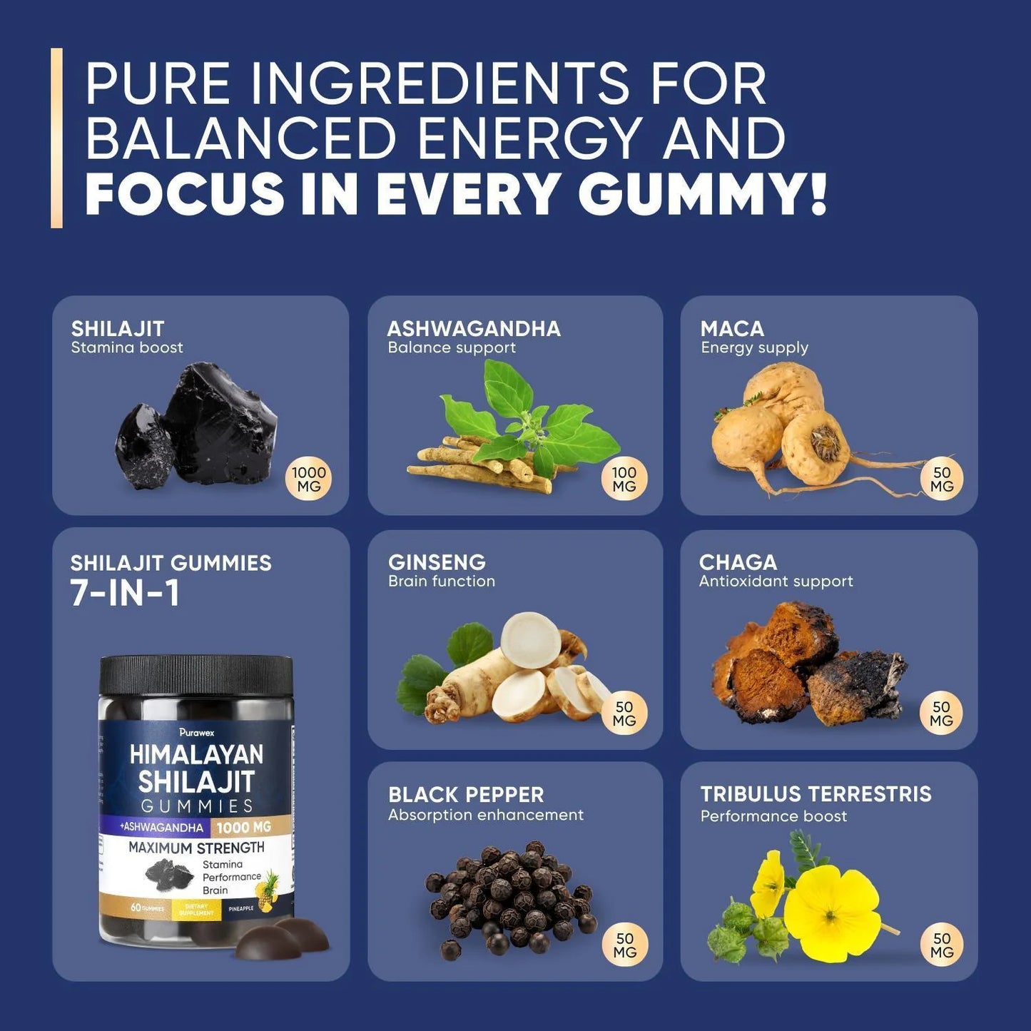 Shilajit Gummies 1000Mg, Shilajit Gummies for Men and Women, Energy, Immunity